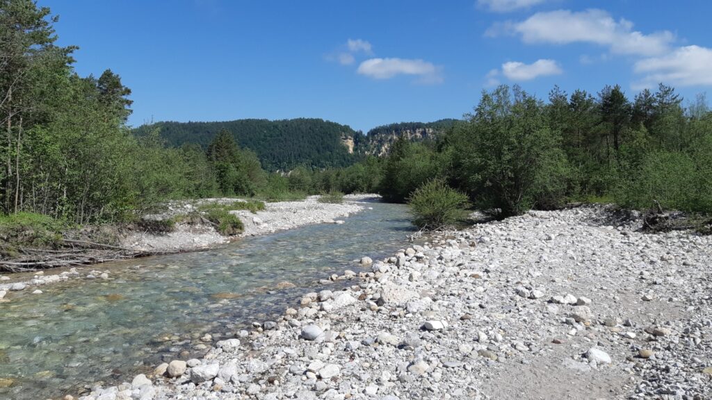 Bachbett mit Ausblick auf die südliche Steinformation